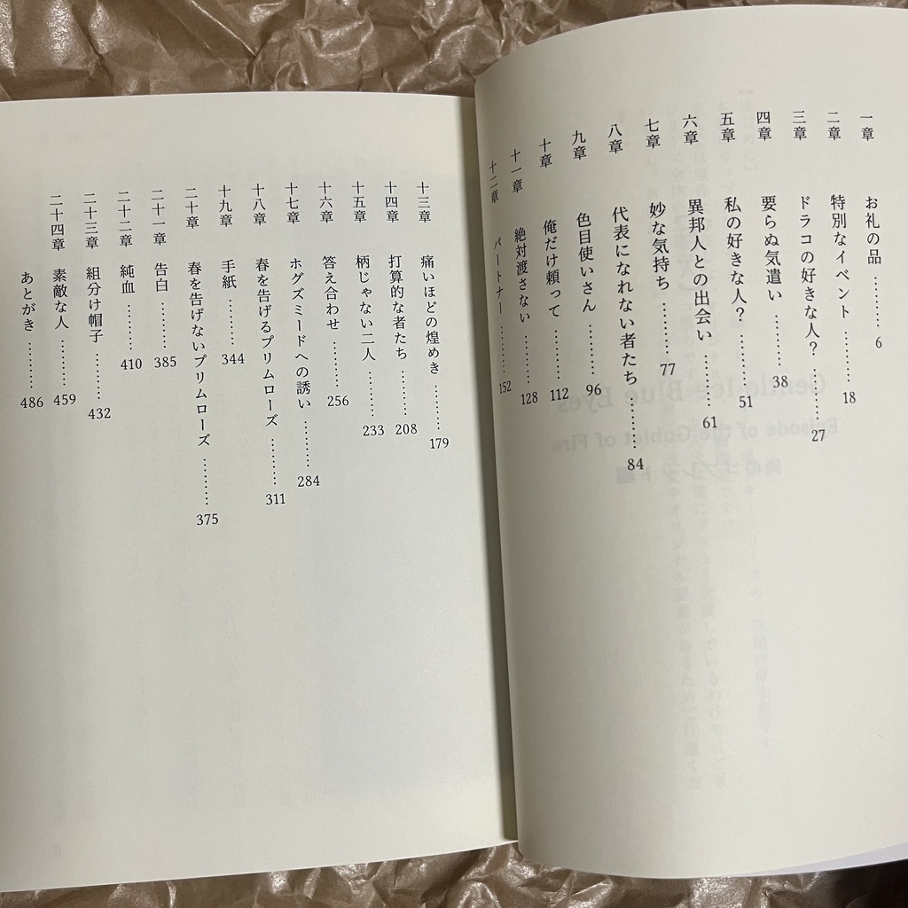 ドラコ落ち原作沿い夢小説 Gentle Ice Blue Eyes④炎のゴブレット編 Web再録(夢主名前固定)