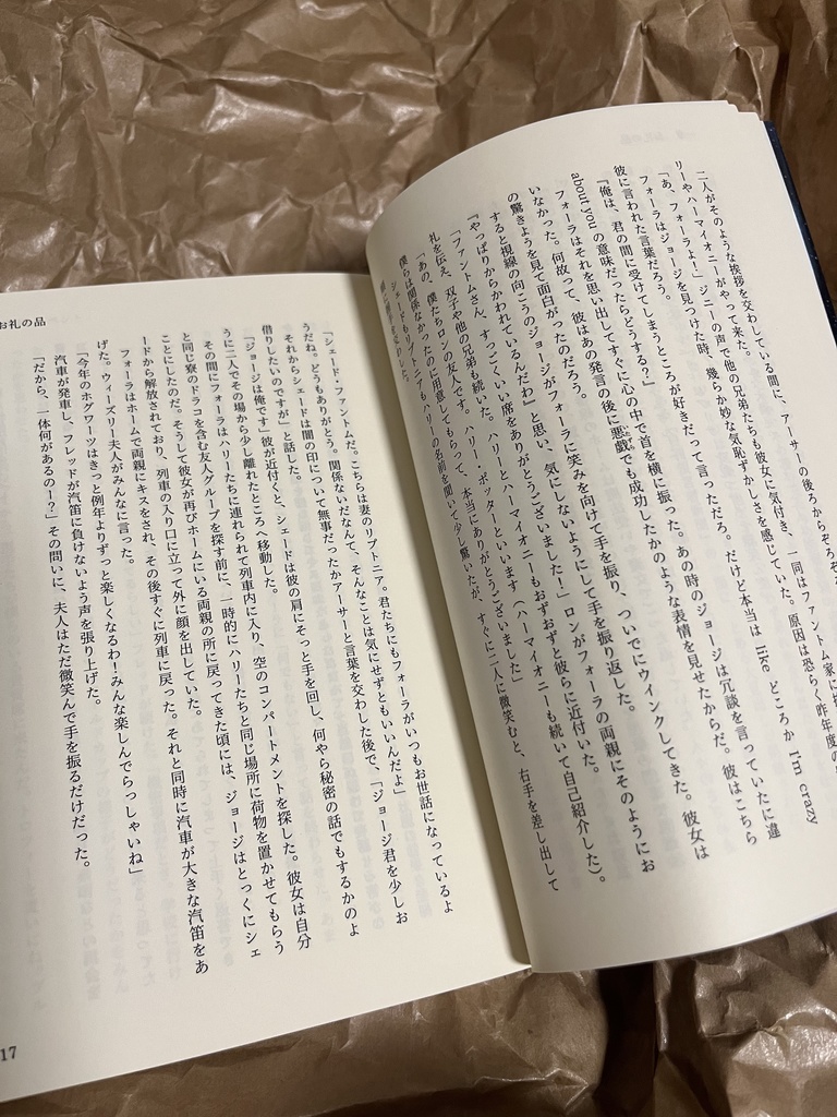 ドラコ落ち原作沿い夢小説 Gentle Ice Blue Eyes④炎のゴブレット編 Web再録(夢主名前固定)