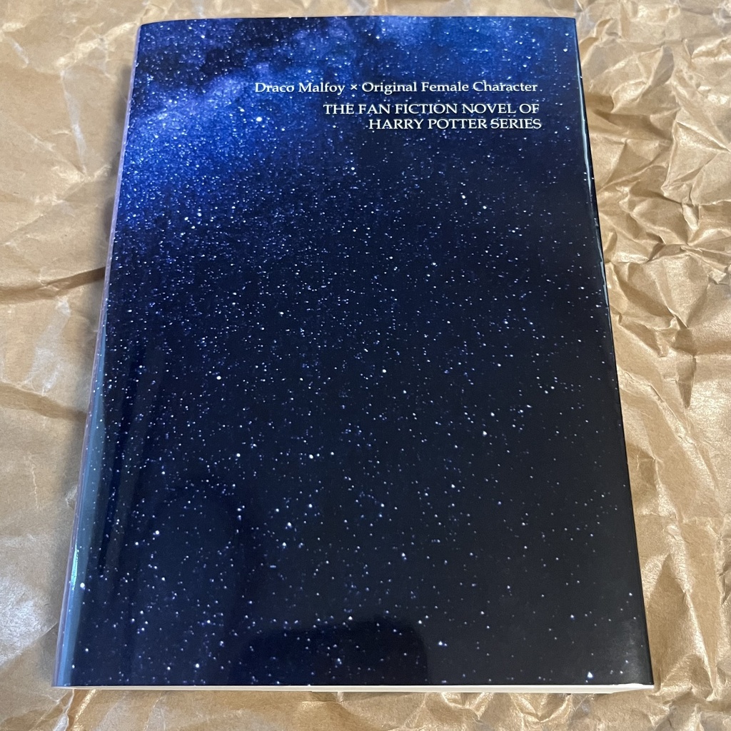 ドラコ落ち原作沿い夢小説 Gentle Ice Blue Eyes④炎のゴブレット編 Web再録(夢主名前固定)