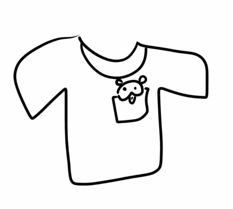 ポケットモ゛ァッジ