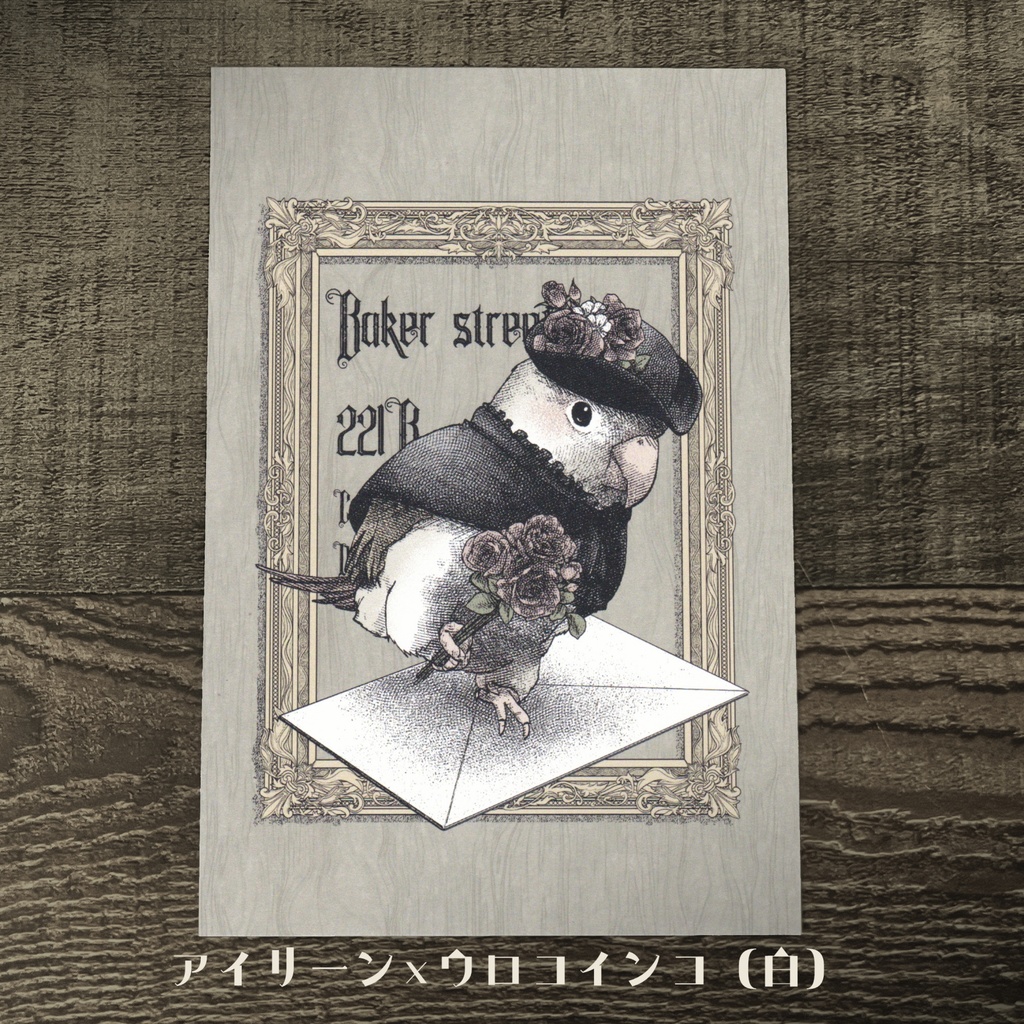 うさぎとインコ ポストカードセット【T : 1】