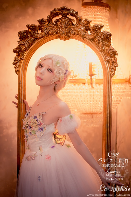 バレエ×創作写真集vol.3『Travesty』