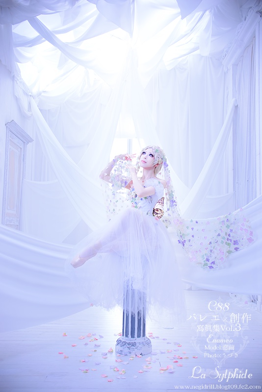 バレエ×創作写真集vol.3『Travesty』