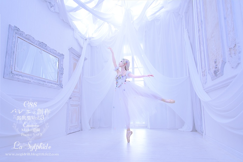 バレエ×創作写真集vol.3『Travesty』