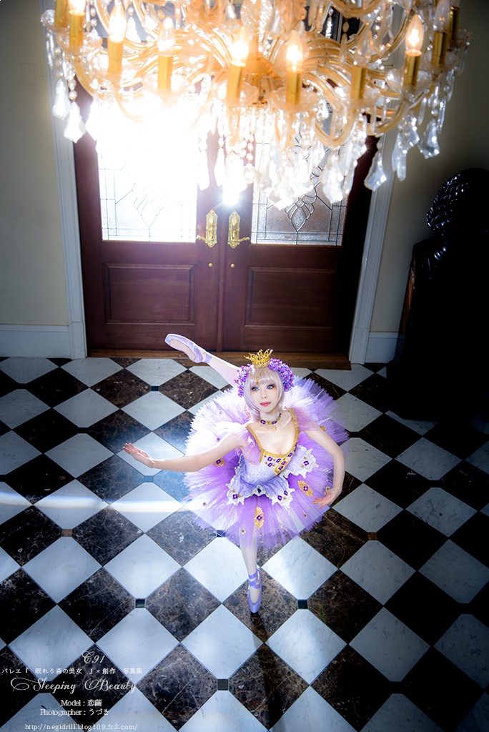 バレエ×創作写真集vol.4 『眠れる森の美女』