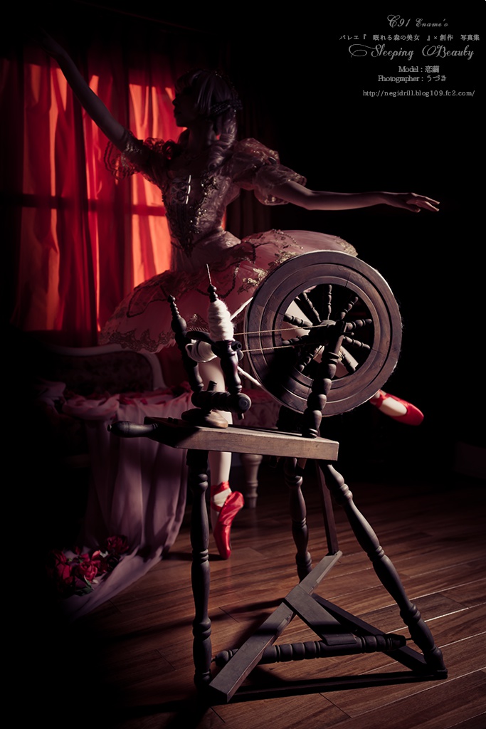バレエ×創作写真集vol.4 『眠れる森の美女』