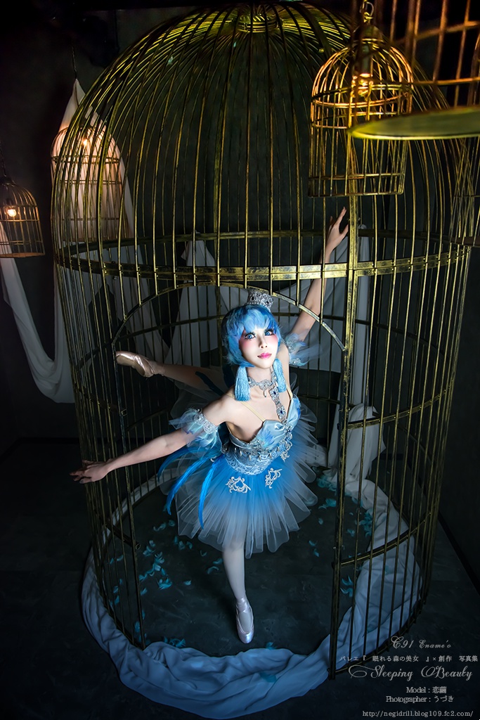 バレエ×創作写真集vol.4 『眠れる森の美女』