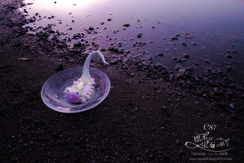 標本は宝石の眠り