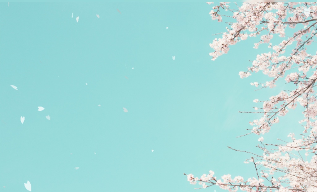 【ココフォリア素材】そこそこ散る桜パーティクルAPNG