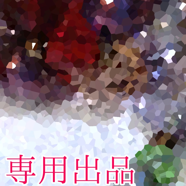 《専用出品》