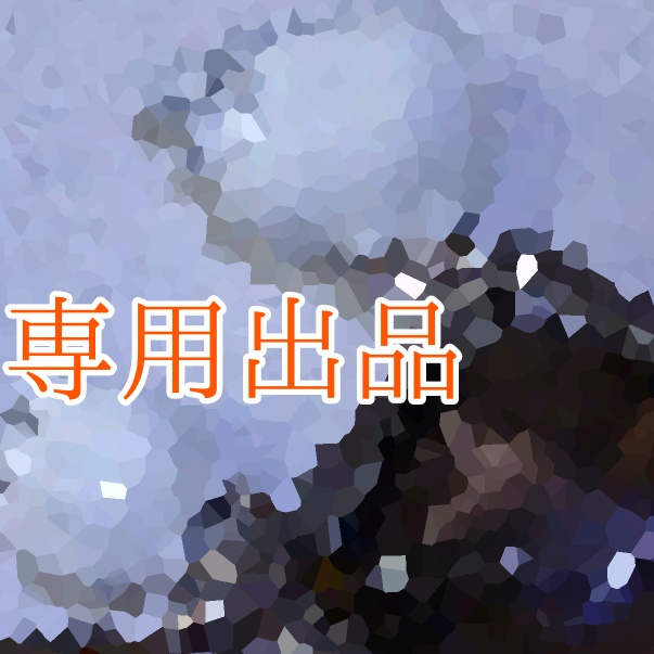 《専用出品》