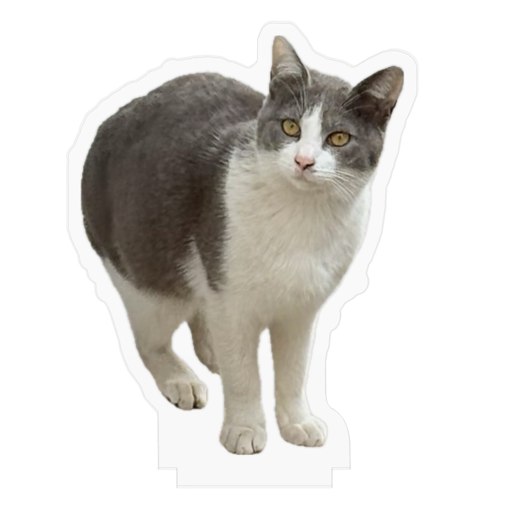 ブリ岡ブリ康アクスタ