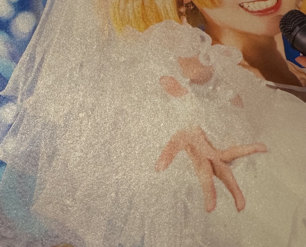 写真集 『Apfelbraut』