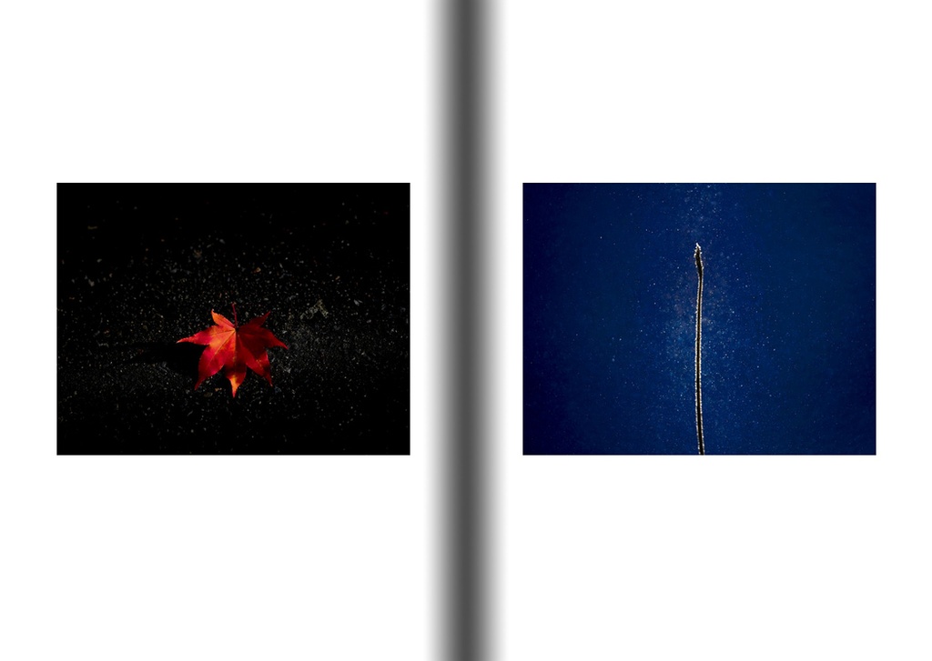 フォトブック【HARUNANO】