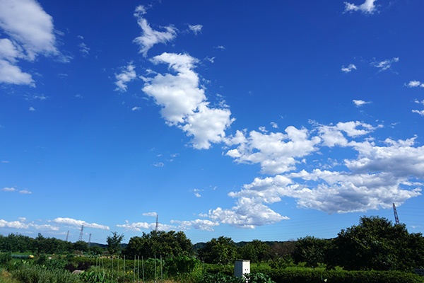 画像「田舎の夏空」