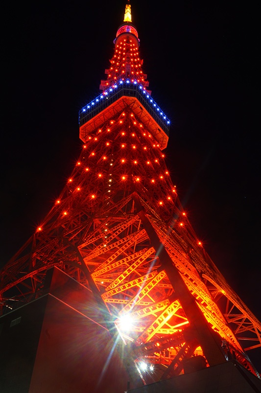 画像「夜の東京タワー」