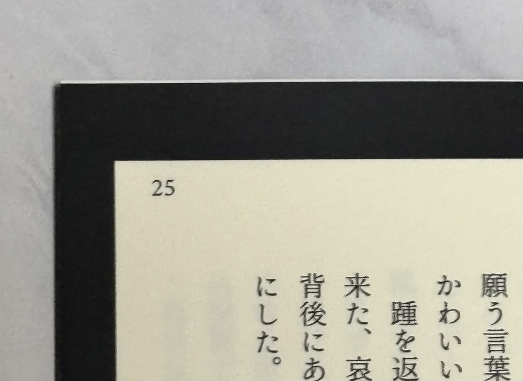 ブラックボックスに預けた明日