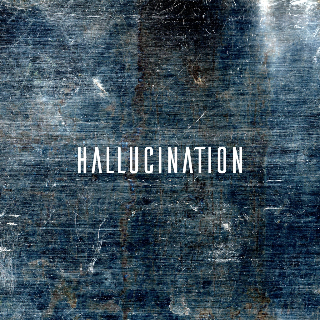 HALLUCINATION (パラロイネロ写真集)