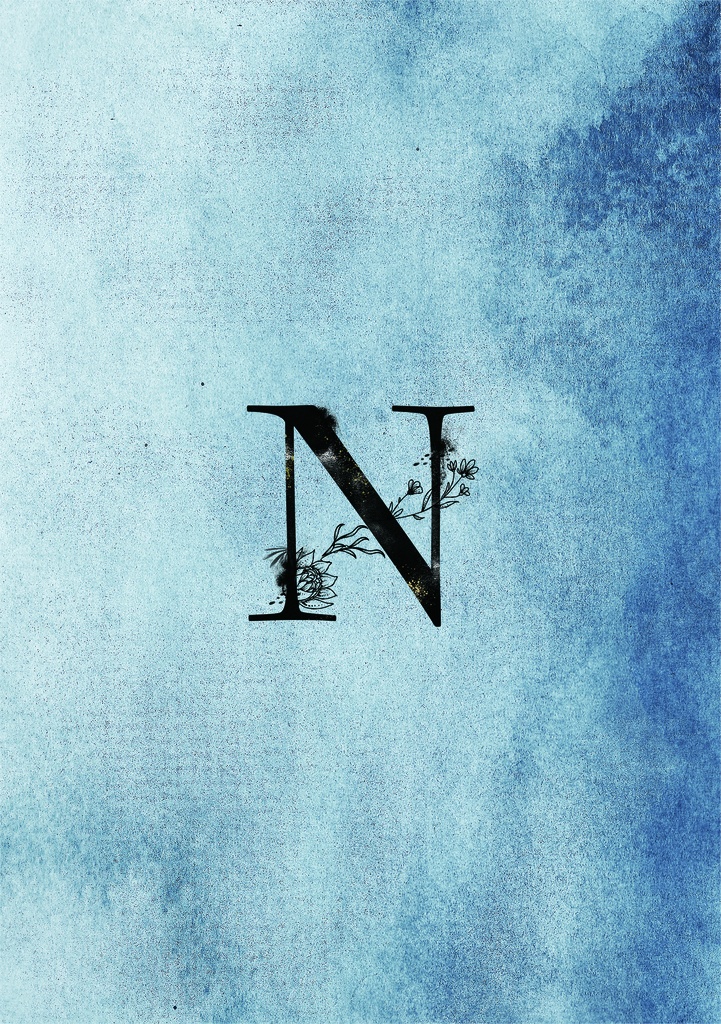 N (通常ネロ写真集)
