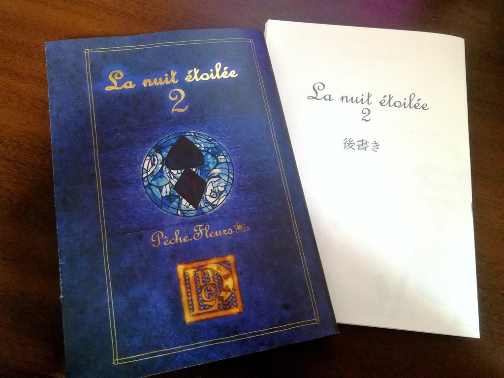 La nuit étoilée2