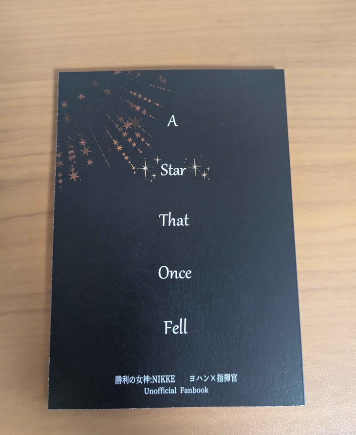 A Star That Once Fell(堕ちた事のある星)