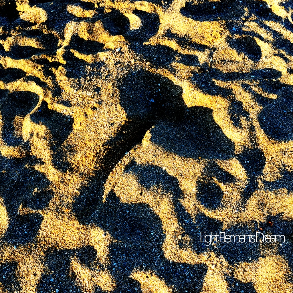 Light Elements Driam