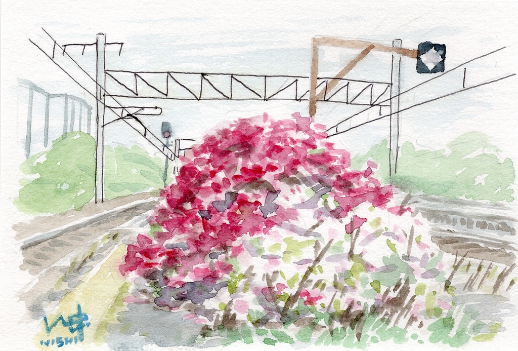 【西宮絵画】ツツジ