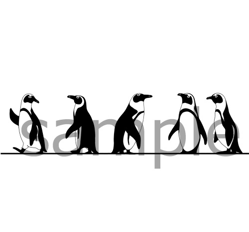 トコトコお喋りケープペンギン