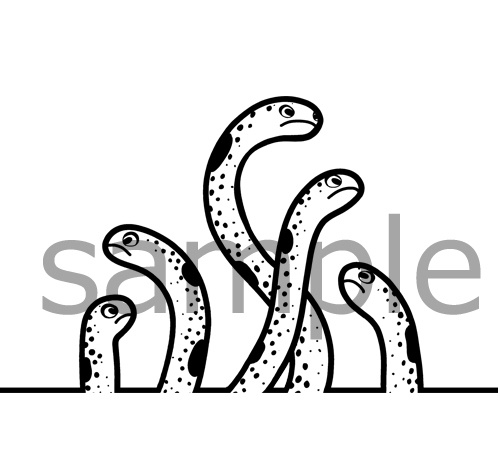 にょろにょろチンアナゴ