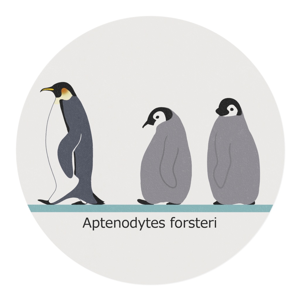 トコトコ皇帝ペンギンさん