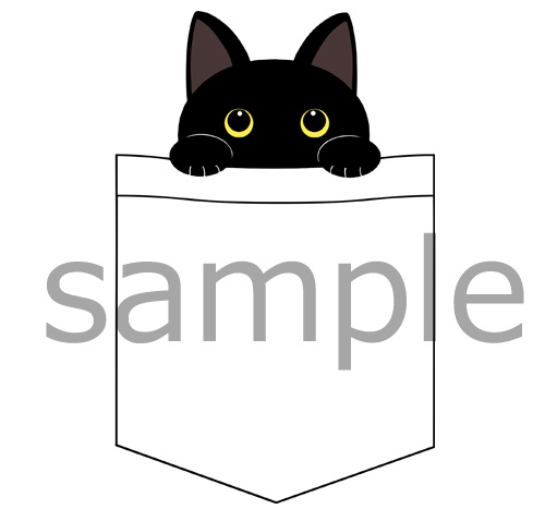 ポケット入りな黒猫さん
