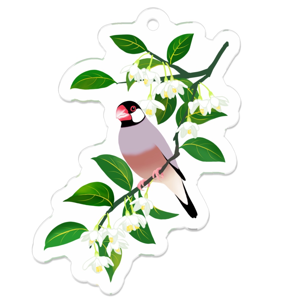 エゴノキと桜文鳥