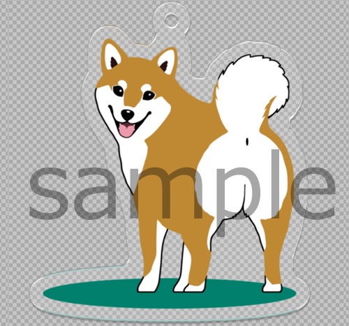 お散歩しようよ♪柴犬