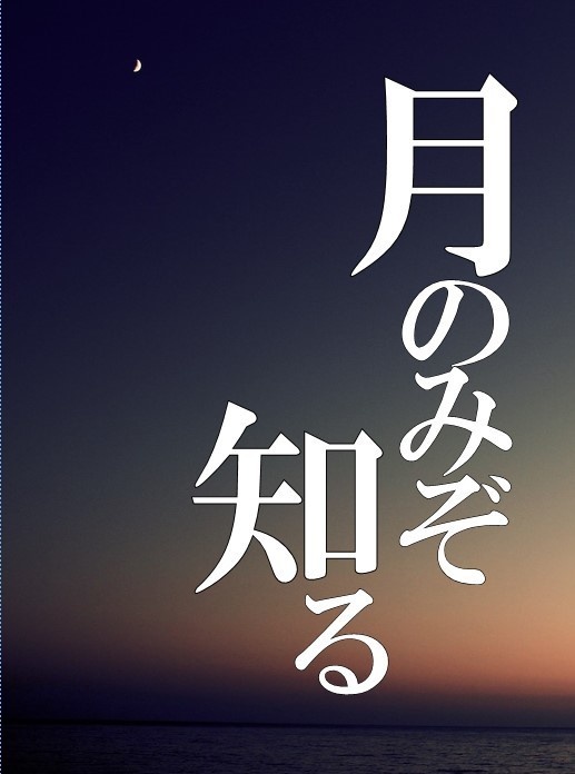 月のみぞ知る