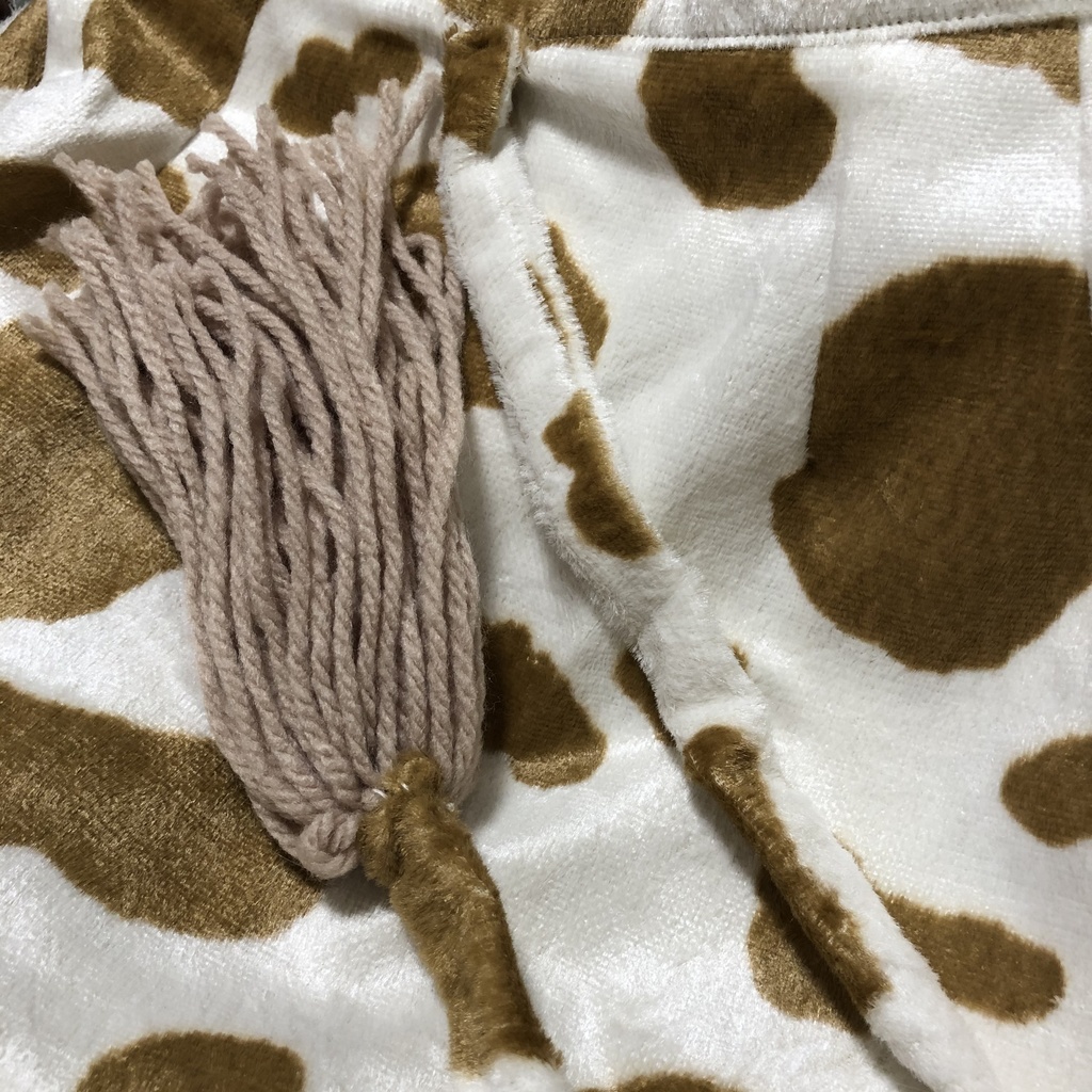 うしさん ーエアシャーー