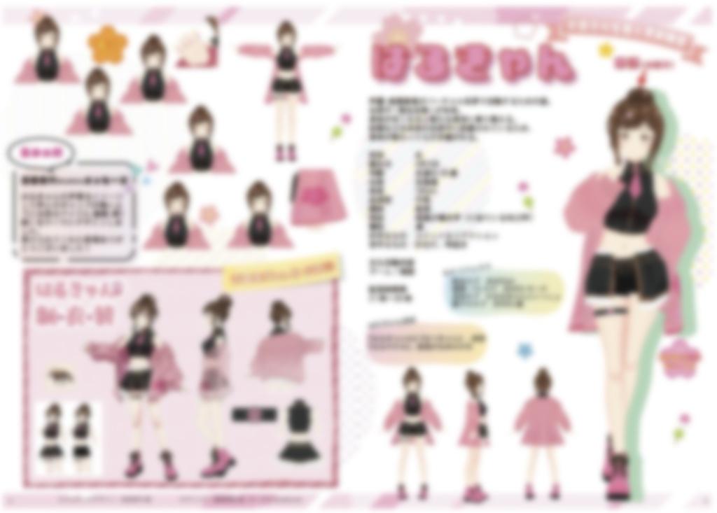 ファンブック(冊子版)+お誕生日記念グッズセット