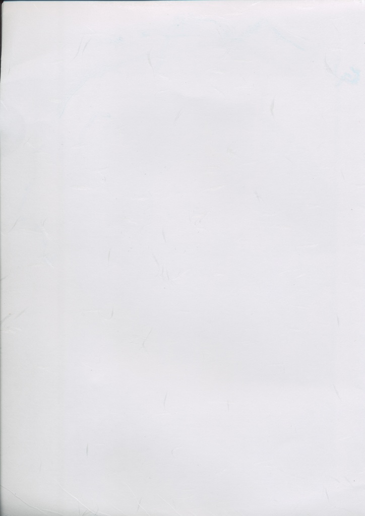 クリアファイル 金魚とアリクイとアリのちぎり絵