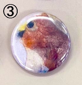 ちぎり絵たぬき3種缶バッジセット