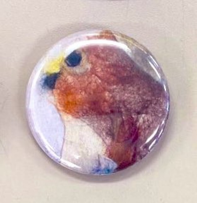 フェルト缶バッジ 5種類あり