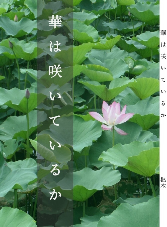 【丹穹】華は咲いているか