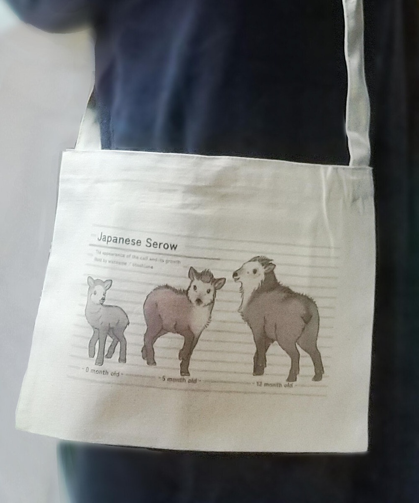サコッシュ ニホンカモシカの成長
