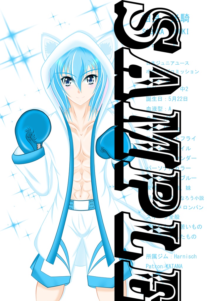 Pladin 相良光騎 1st 写真集 冊子(初版)