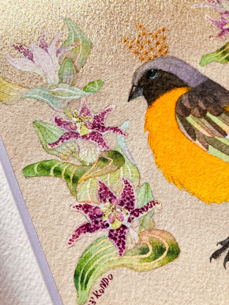 20万年の遠いあなた<Ⅹ>やぎ座・ホトトギス・ジョウビタキ