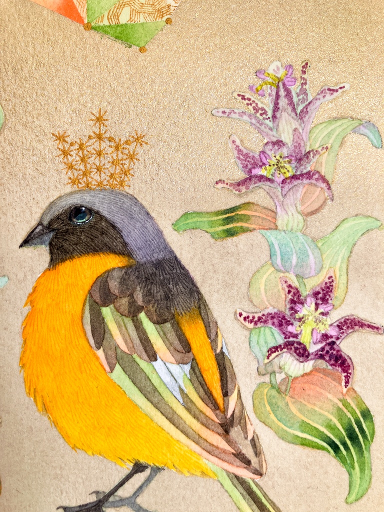 20万年の遠いあなた<Ⅹ>やぎ座・ホトトギス・ジョウビタキ