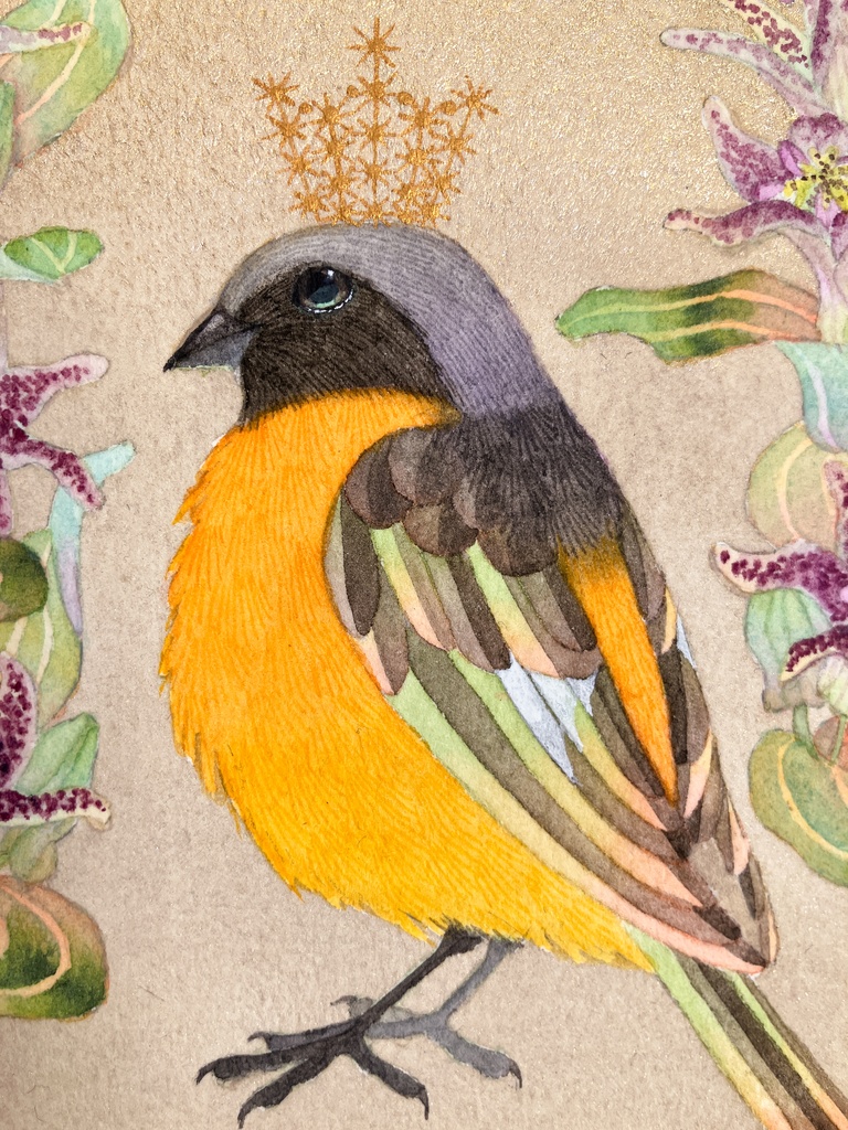 20万年の遠いあなた<Ⅹ>やぎ座・ホトトギス・ジョウビタキ