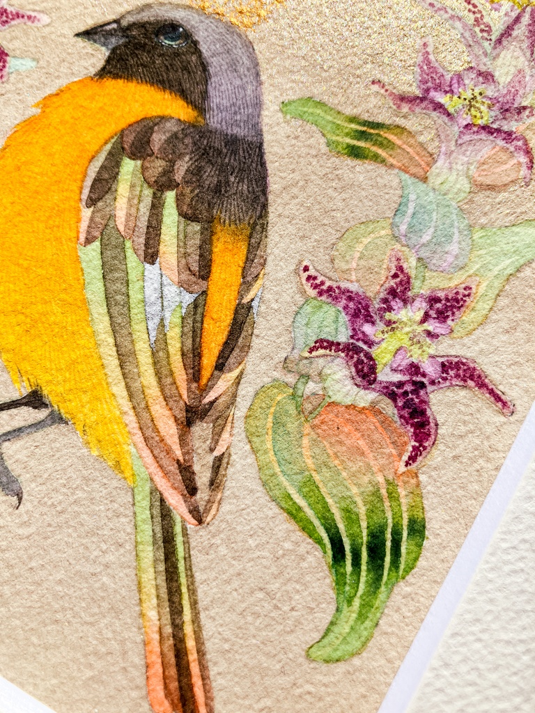 20万年の遠いあなた<Ⅹ>やぎ座・ホトトギス・ジョウビタキ