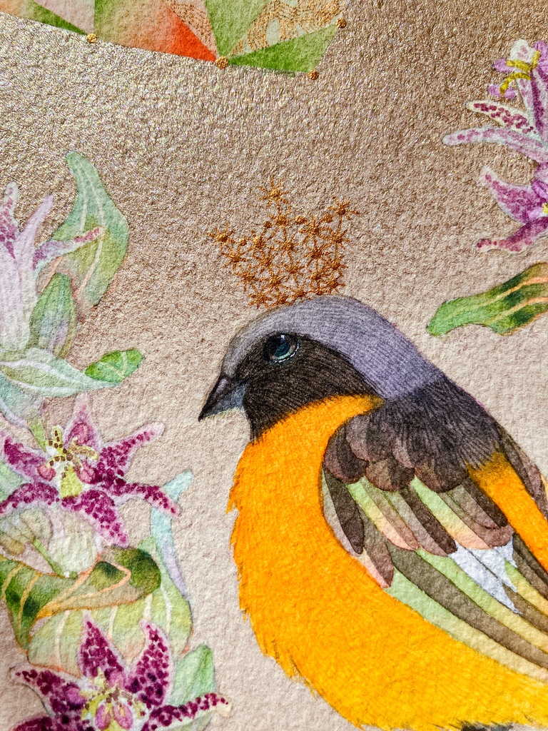 20万年の遠いあなた<Ⅹ>やぎ座・ホトトギス・ジョウビタキ