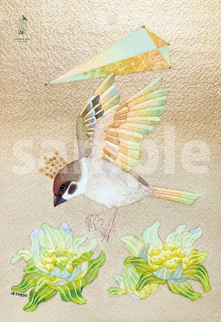 【ポストカード】「20万年の遠いあなた」<12枚セット>