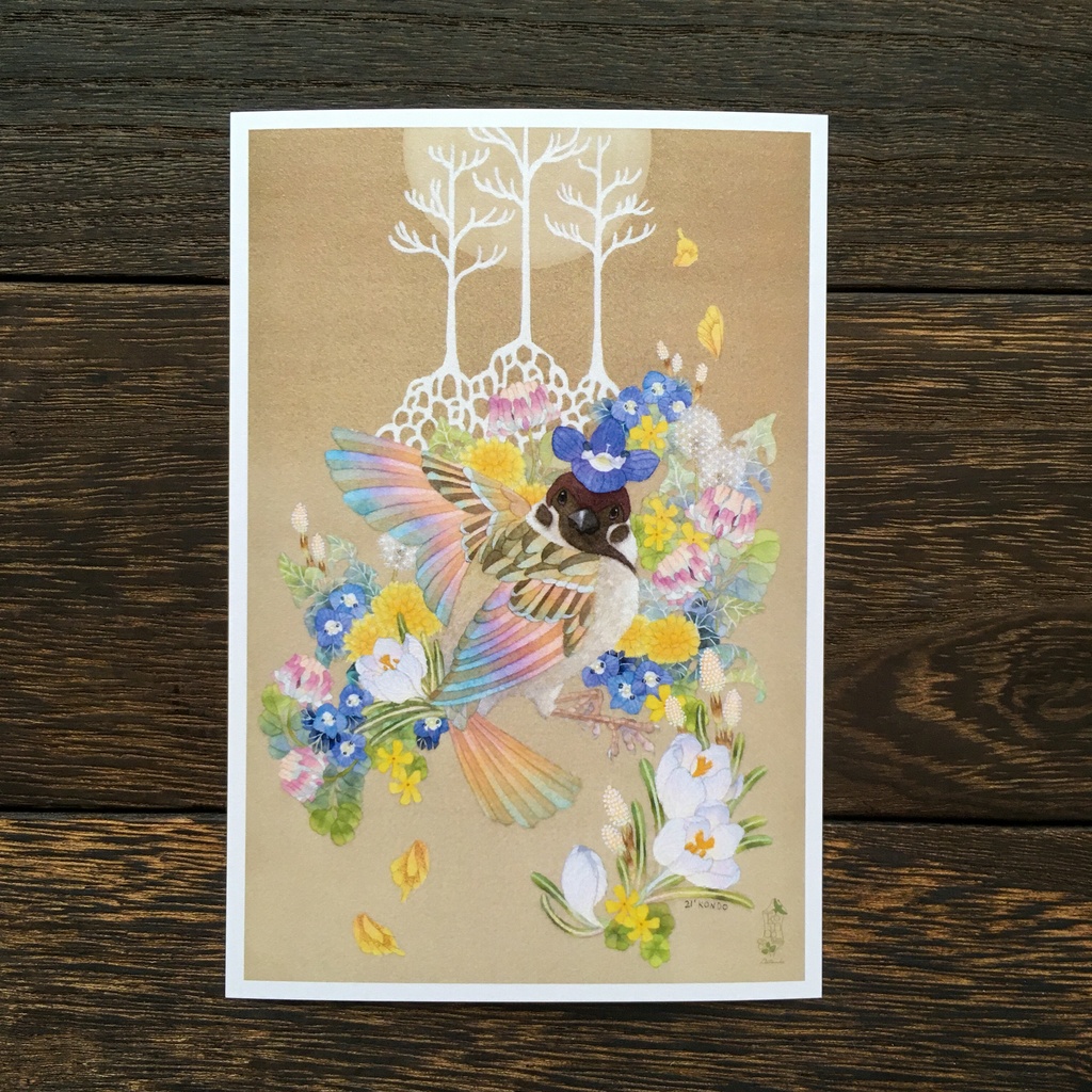 【ポストカード】ことりたちのポストカード/Dセット<7枚セット>