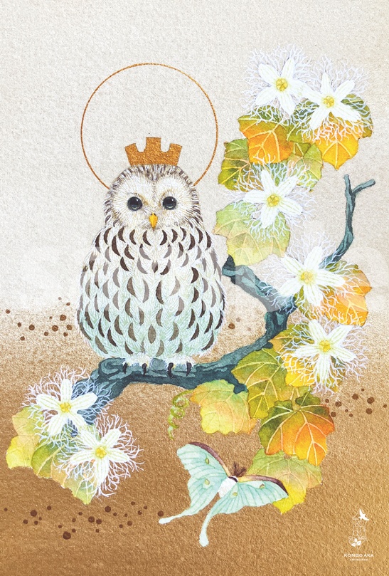 【ポストカード】2025年4月ポスカ新作セット<13枚セット>